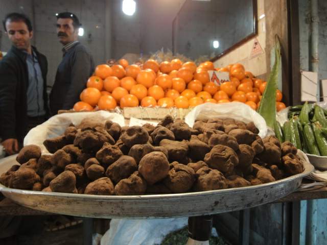 Truffle قارچ دنبلان 